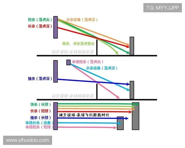 南京羽毛球队中路突破的战术分析与未来发展展望